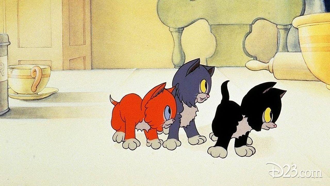 Three Orphan Kittens