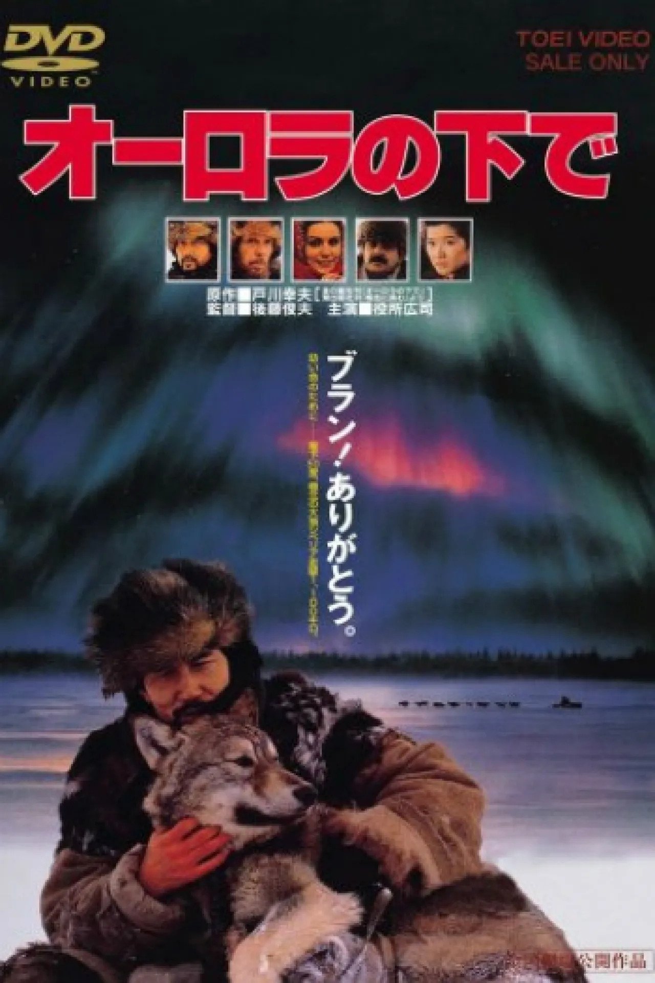 Aurora Borealis poster