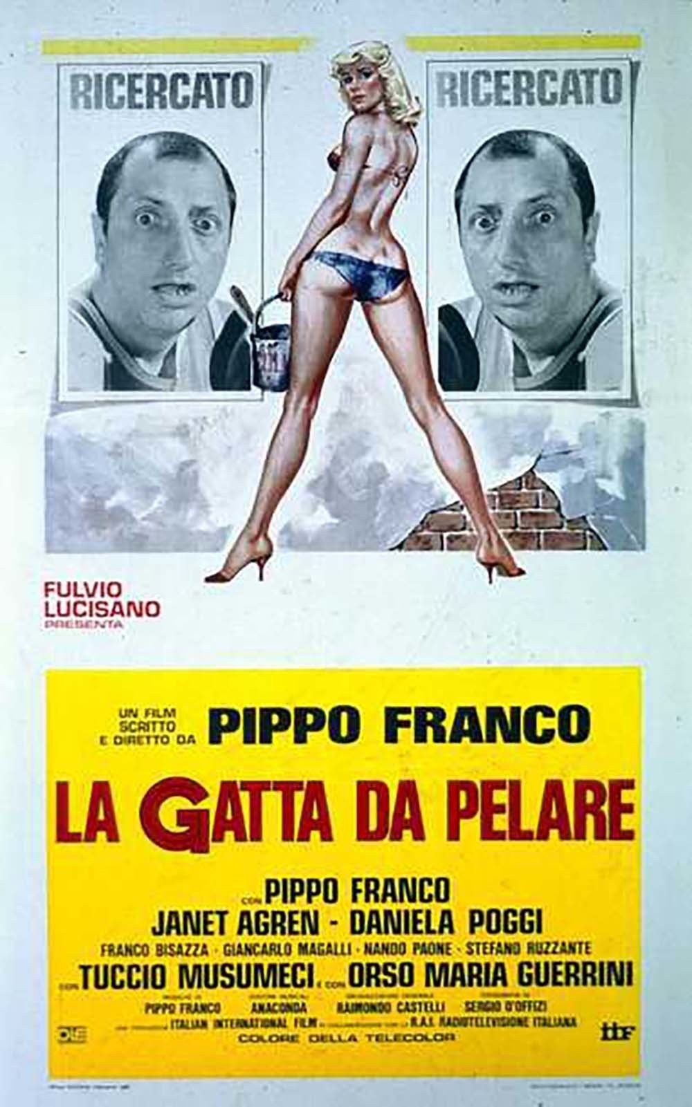 La gatta da pelare poster