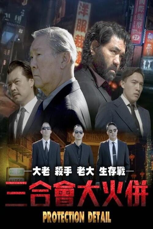 Protection Detail poster