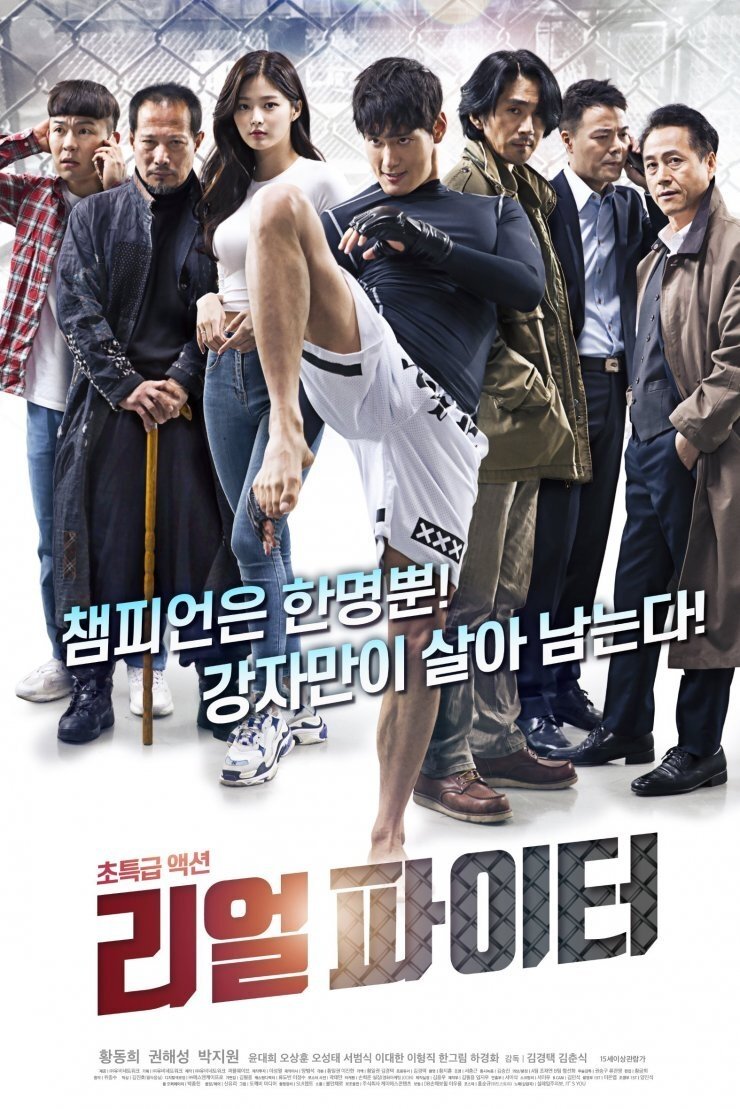 Real Fighter poster