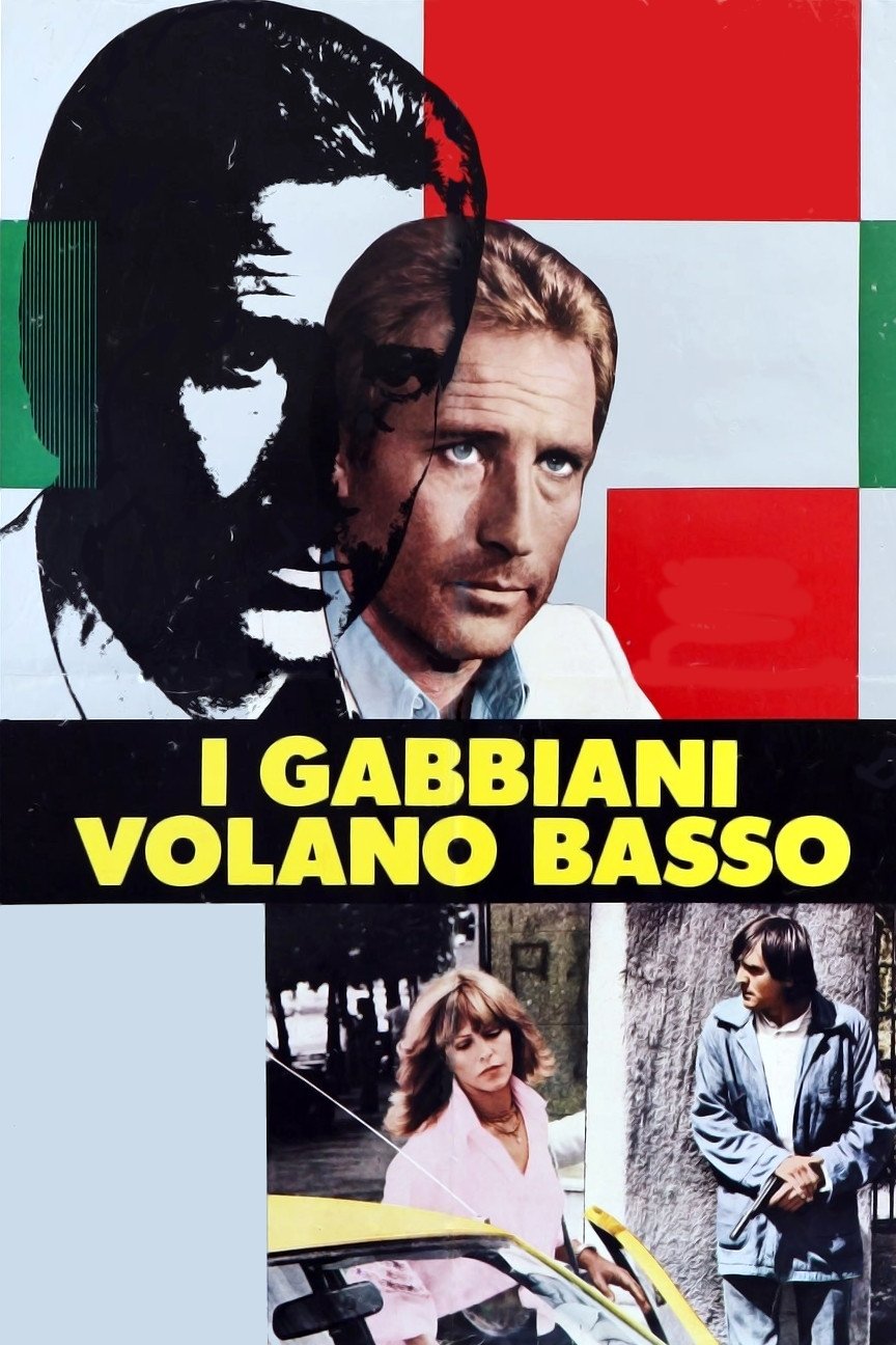 Seagulls Fly Low poster