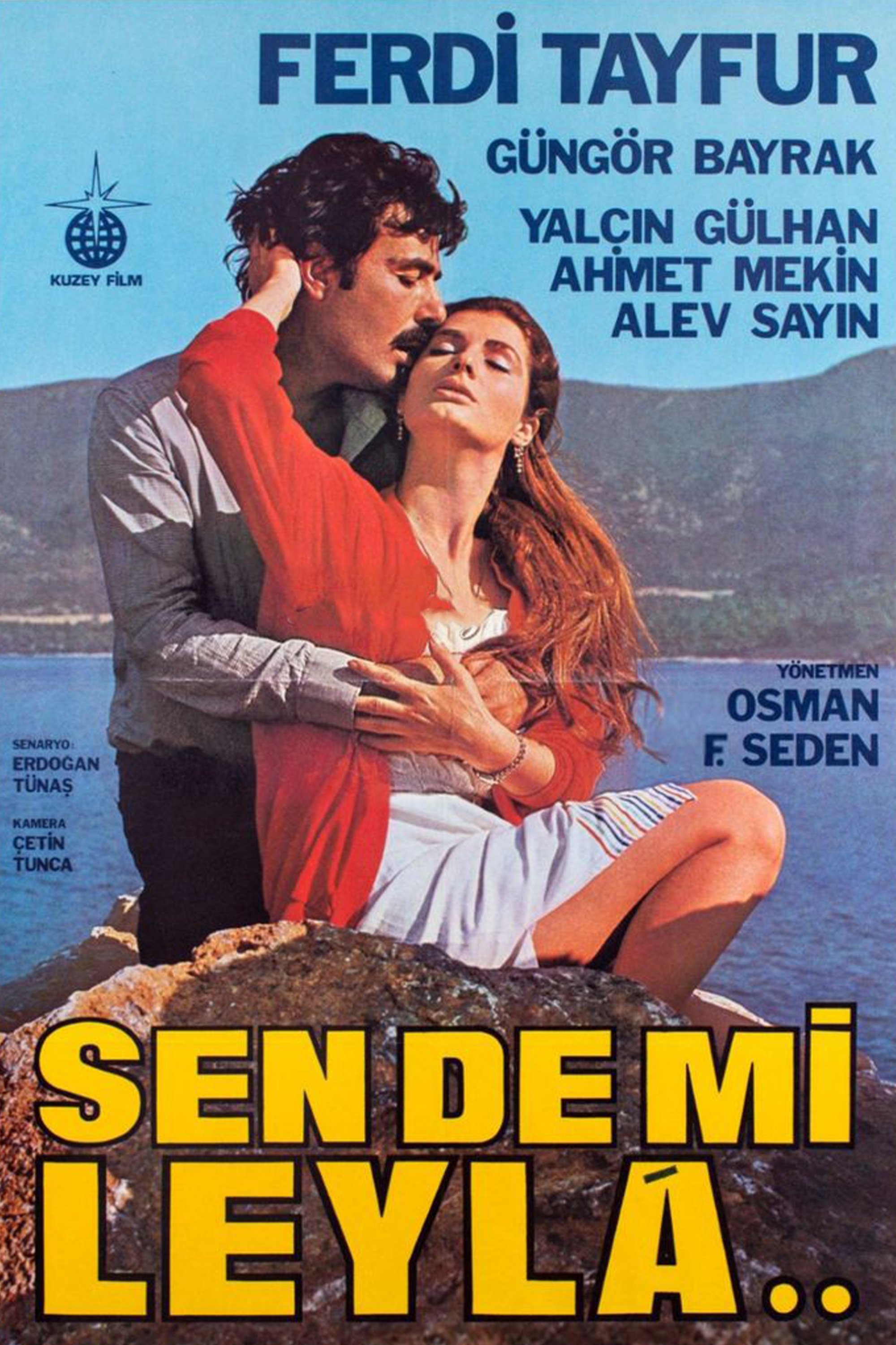 Sen De Mi Leyla poster