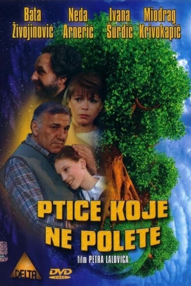 Some Birds Can't Fly poster