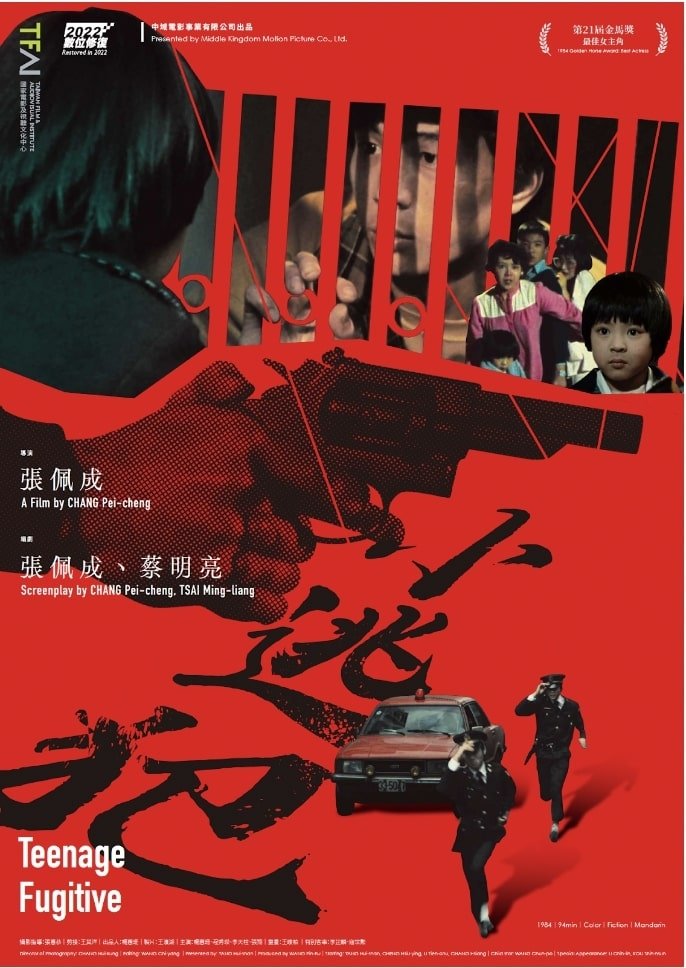 Teenage Fugitive poster