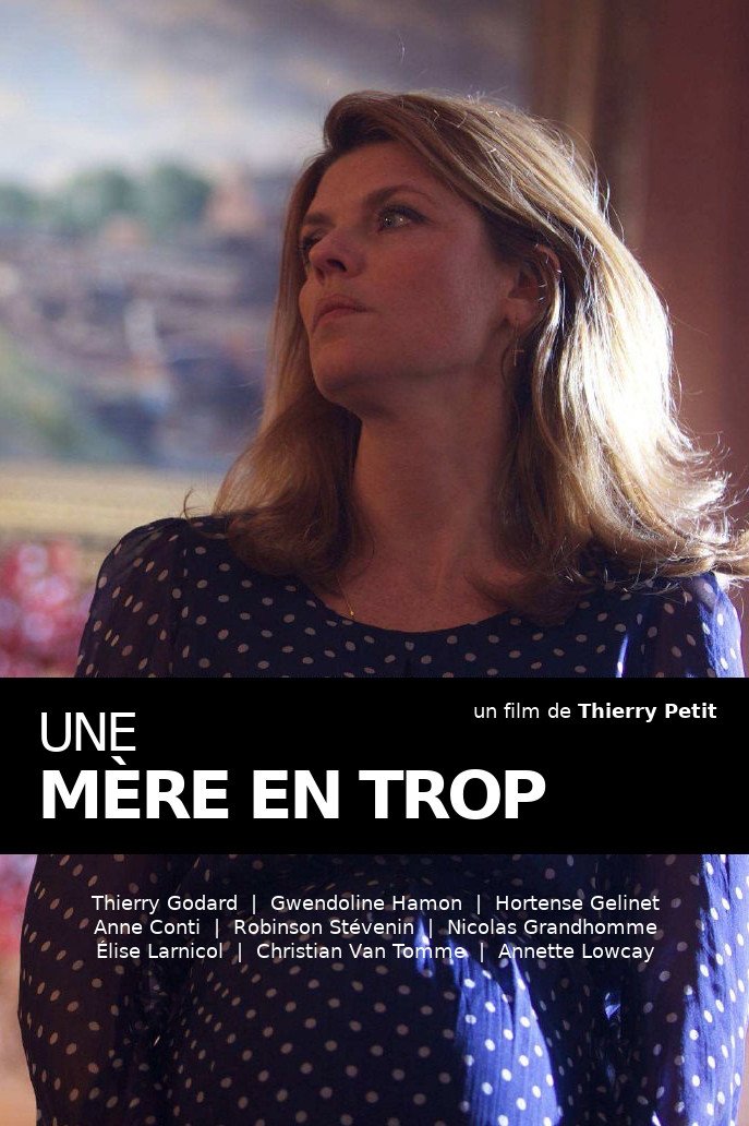 The Surrogate Mother poster