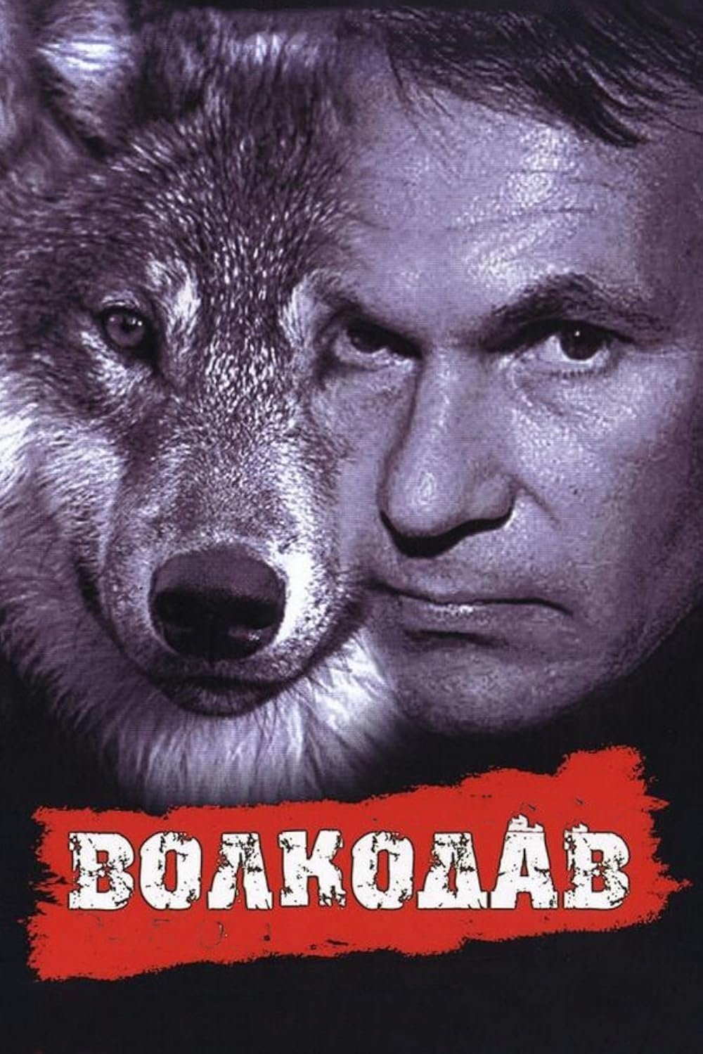 Wolfhound poster